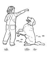 coloriage chien labrador qui fait le beau